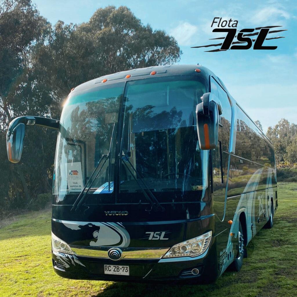 1EFE87C4-9527-43C1-85DC-A9660010AFD1